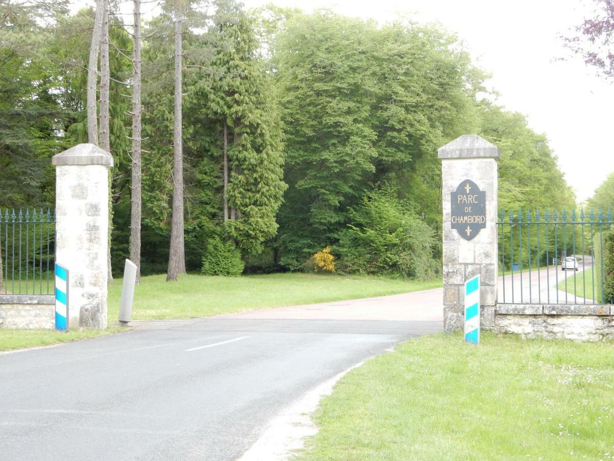 Entre Loire Et Cher Grand Gite "Cote Tilleul" Tour-en-Sologne Екстер'єр фото