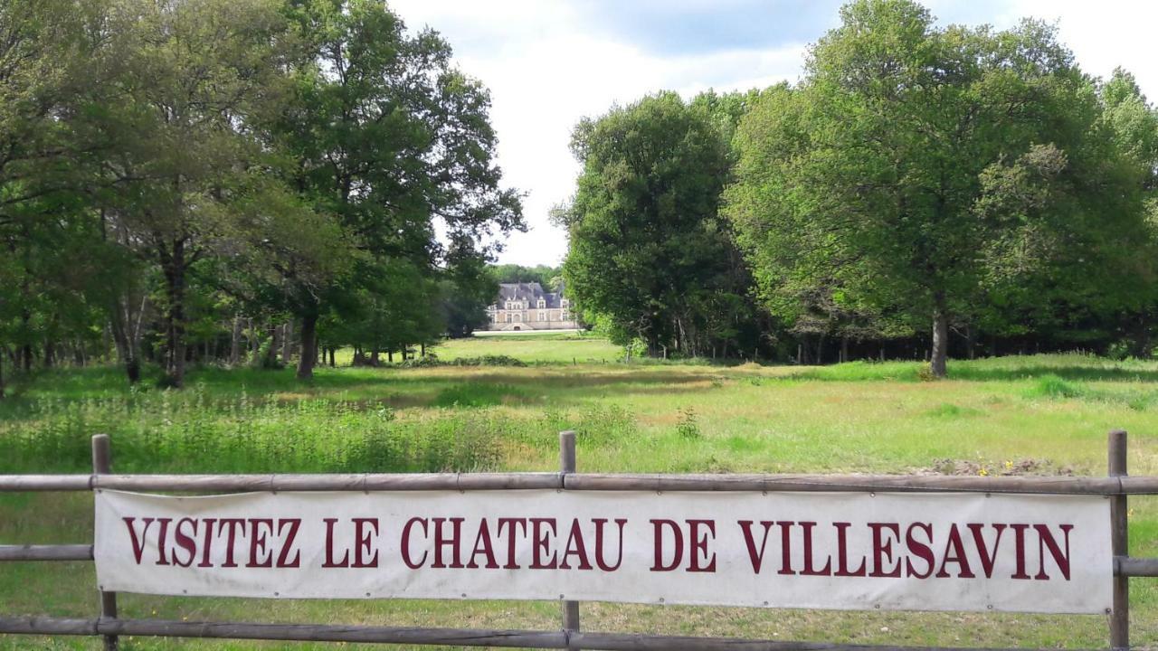 Entre Loire Et Cher Grand Gite "Cote Tilleul" Tour-en-Sologne Екстер'єр фото